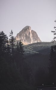 Preview wallpaper mountains, trees, top, forest, landscape