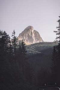 Preview wallpaper mountains, trees, top, forest, landscape