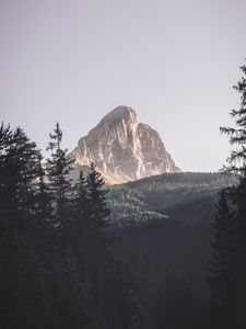 Preview wallpaper mountains, trees, top, forest, landscape