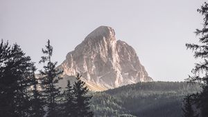 Preview wallpaper mountains, trees, top, forest, landscape
