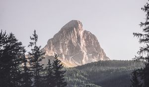 Preview wallpaper mountains, trees, top, forest, landscape