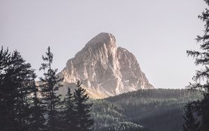 Preview wallpaper mountains, trees, top, forest, landscape