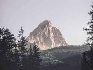 Preview wallpaper mountains, trees, top, forest, landscape