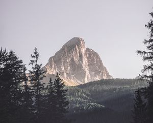 Preview wallpaper mountains, trees, top, forest, landscape
