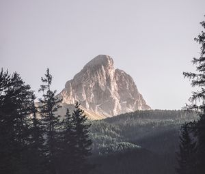 Preview wallpaper mountains, trees, top, forest, landscape