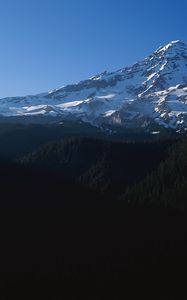 Preview wallpaper mountains, trees, top, peak, snow