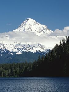 Preview wallpaper mountains, trees, top, peak, snow, fur-trees, clouds