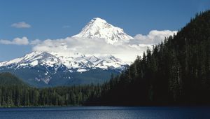 Preview wallpaper mountains, trees, top, peak, snow, fur-trees, clouds