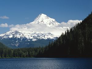 Preview wallpaper mountains, trees, top, peak, snow, fur-trees, clouds