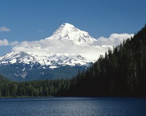 Preview wallpaper mountains, trees, top, peak, snow, fur-trees, clouds