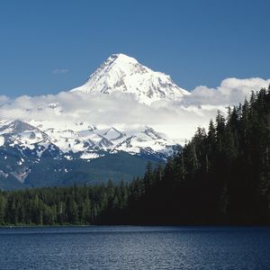 Preview wallpaper mountains, trees, top, peak, snow, fur-trees, clouds