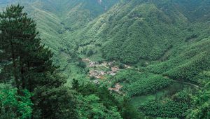 Preview wallpaper mountains, trees, top view