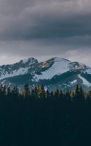 Preview wallpaper mountains, trees, tops, snow, sky