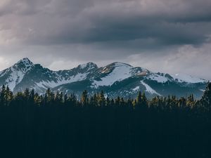 Preview wallpaper mountains, trees, tops, snow, sky