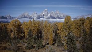 Preview wallpaper mountains, trees, tops, autumn, coniferous, leaves, yellow, clouds