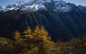 Preview wallpaper mountains, trees, tops, autumn, snow, leaves, yellow, greatness