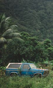 Preview wallpaper mountains, trees, travel, car