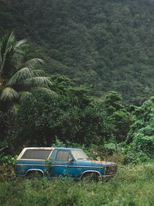 Preview wallpaper mountains, trees, travel, car