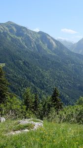 Preview wallpaper mountains, trees, valley, landscape, nature, forest, plants