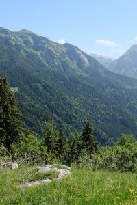 Preview wallpaper mountains, trees, valley, landscape, nature, forest, plants