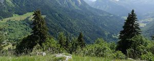Preview wallpaper mountains, trees, valley, landscape, nature, forest, plants