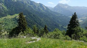 Preview wallpaper mountains, trees, valley, landscape, nature, forest, plants