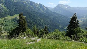 Preview wallpaper mountains, trees, valley, landscape, nature, forest, plants