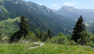 Preview wallpaper mountains, trees, valley, landscape, nature, forest, plants