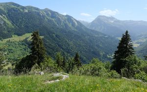 Preview wallpaper mountains, trees, valley, landscape, nature, forest, plants