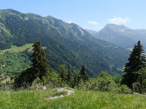 Preview wallpaper mountains, trees, valley, landscape, nature, forest, plants