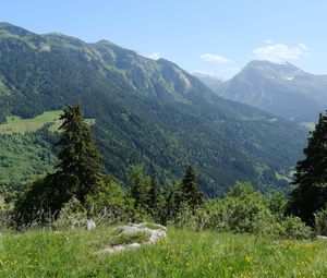 Preview wallpaper mountains, trees, valley, landscape, nature, forest, plants