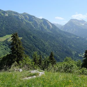 Preview wallpaper mountains, trees, valley, landscape, nature, forest, plants