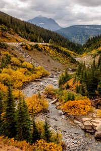 Preview wallpaper mountains, trees, valley, stream, autumn