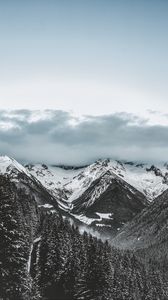 Preview wallpaper mountains, trees, winter, snow, clouds
