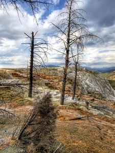 Preview wallpaper mountains, trees, wood, dead, colors