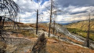 Preview wallpaper mountains, trees, wood, dead, colors