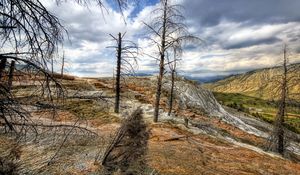 Preview wallpaper mountains, trees, wood, dead, colors