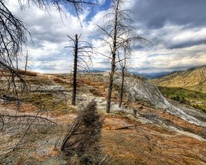 Preview wallpaper mountains, trees, wood, dead, colors