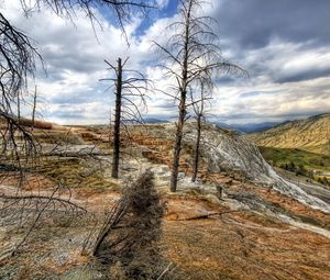 Preview wallpaper mountains, trees, wood, dead, colors