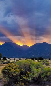 Preview wallpaper mountains, valley, bushes, grass, landscape, sunlight