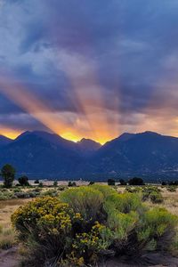 Preview wallpaper mountains, valley, bushes, grass, landscape, sunlight