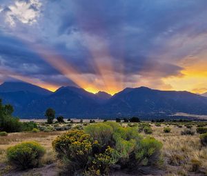 Preview wallpaper mountains, valley, bushes, grass, landscape, sunlight