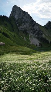 Preview wallpaper mountains, valley, field, flowers, nature, landscape