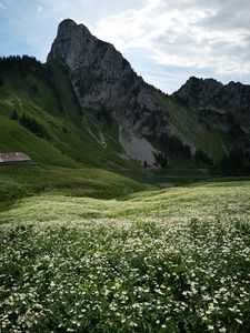 Preview wallpaper mountains, valley, field, flowers, nature, landscape