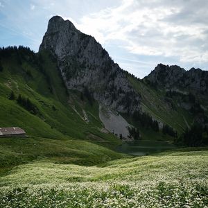 Preview wallpaper mountains, valley, field, flowers, nature, landscape