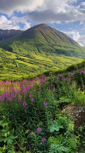 Preview wallpaper mountains, valley, flowers, grass, landscape