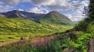 Preview wallpaper mountains, valley, flowers, grass, landscape