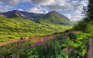 Preview wallpaper mountains, valley, flowers, grass, landscape