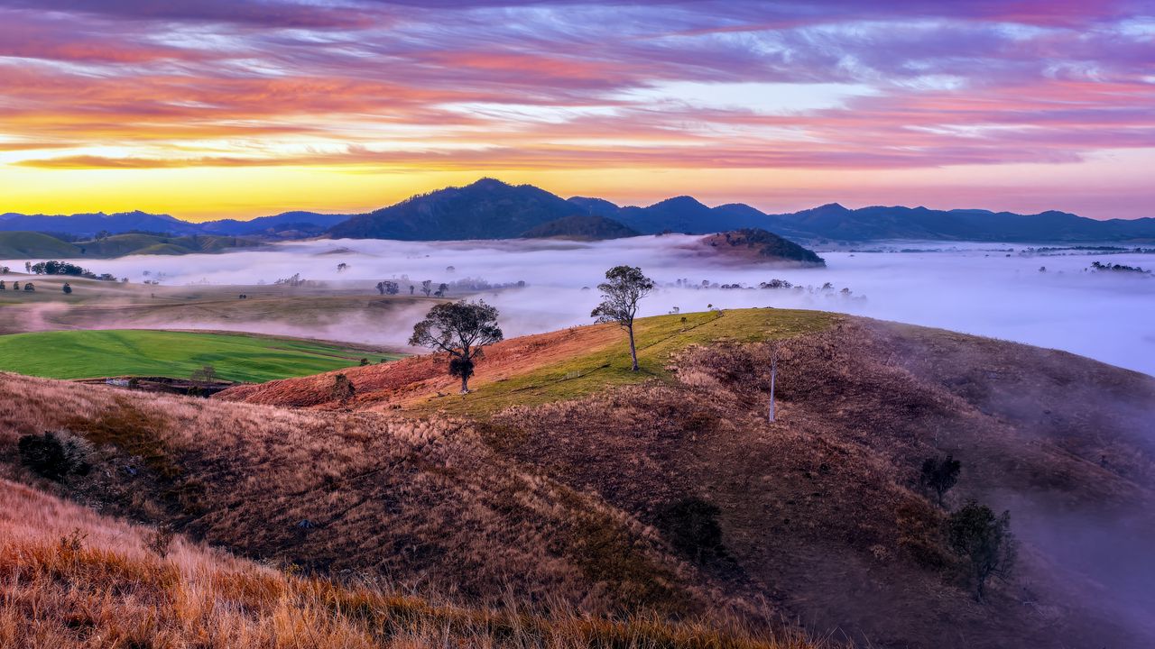 Wallpaper mountains, valley, fog, trees, hills, nature