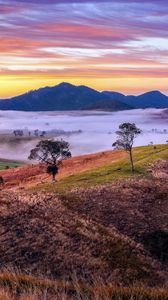 Preview wallpaper mountains, valley, fog, trees, hills, nature